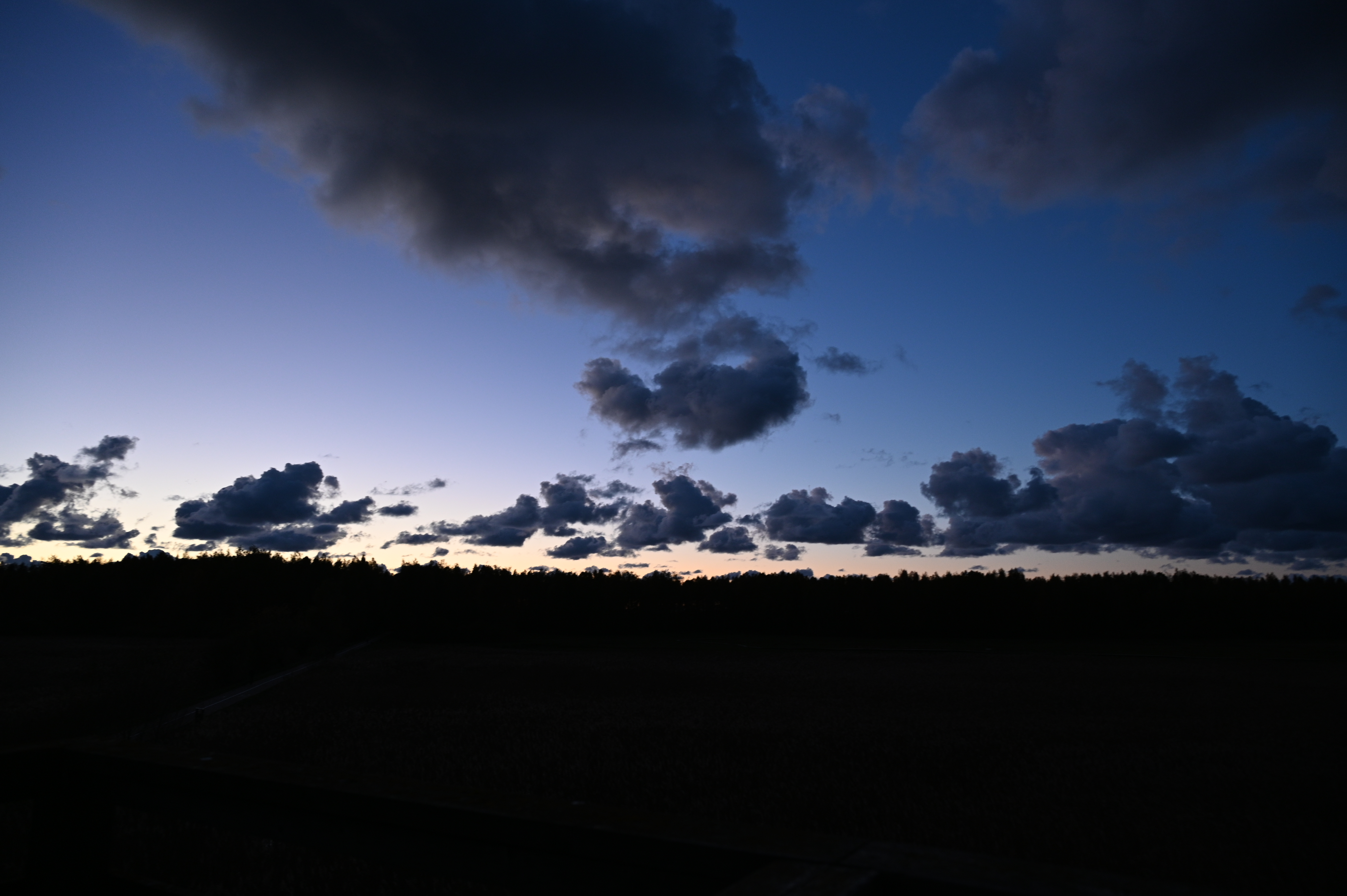 2025/10/18 - walk/DSC_0624.JPG